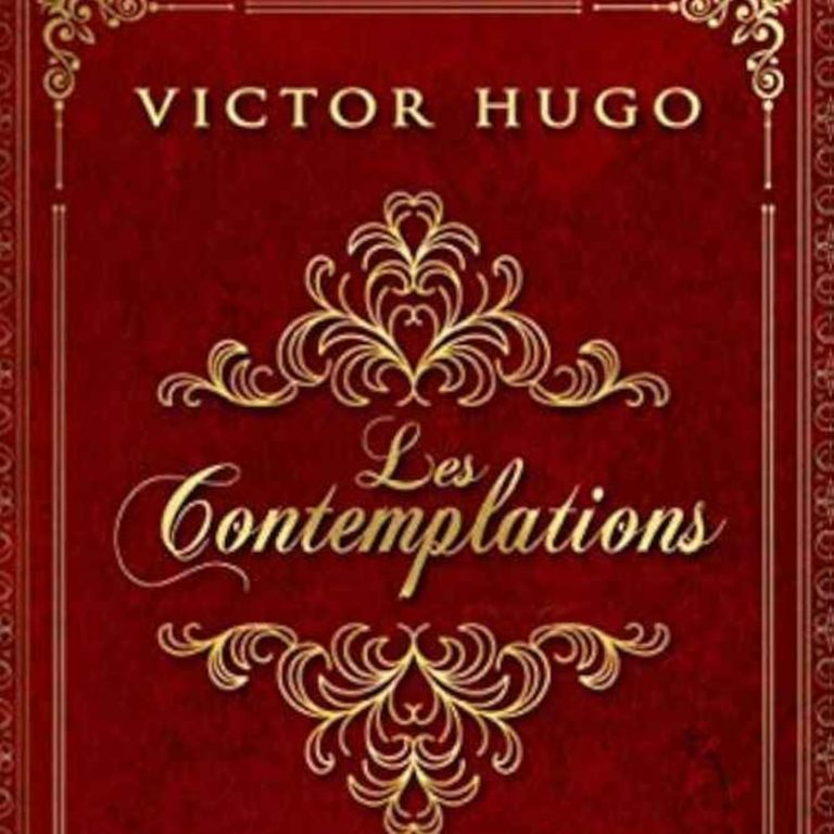 Des Voix à Lire – L&rsquo;homme de génie_Victor Hugo Melancholia